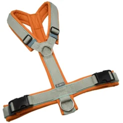 BUMER Hundegeschirr, gepolstert ohne geteilten Bruststeg, Größe L, Gurtband Helles Salbei, Softshell Zimt Orange, Ringe silberfarbig (Edelstahl), Schnallen schwarz, Paspel Jadenluft (komplett)