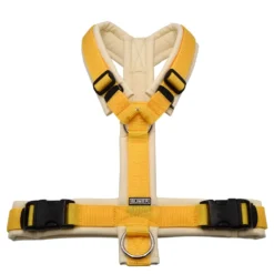 BUMER Hundegeschirr, gepolstert ohne geteilten Bruststeg, Größe M, Gurtband Mais, Softshell Champagne, Ringe silberfarbig (Edelstahl), Schnallen schwarz (Standard)