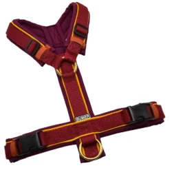 BUMER Hundegeschirr, gepolstert ohne geteilten Bruststeg, Größe S, Gurtband Bordeaux, Softshell Rubintango, Ringe goldfarbig, Schnallen Schwarz (Standard)