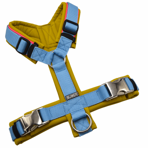 BUMER Hundegeschirr, gepolstert ohne geteilten Bruststeg, Größe S, Gurtband Eisblau, Softshell Curry, Ringe silberfarbig (Edelstahl), Schnallen Aluminium (ALU-MAX®)