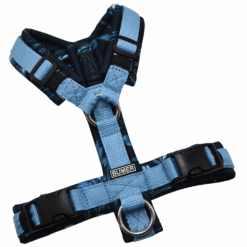 BUMER Hundegeschirr, gepolstert ohne geteilten Bruststeg, Größe XS, Gurtband Eisblau, Softshell Farfalla, Ringe silberfarbig (Edelstahl), Schnallen schwarz (Standard)