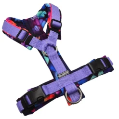 BUMER Hundegeschirr, gepolstert ohne geteilten Bruststeg, Größe XS, Gurtband Lila, Softshell Valentinstag Herz #10, Ringe silberfarbig (Edelstahl), Schnallen DURAFLEX®