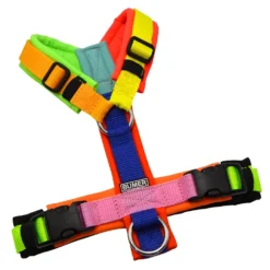 BUMER Hundegeschirr, gepolstert ohne geteilten Bruststeg, Größe XS, Gurtband MULTICOLOR, Softshell MULTICOLOR, Ringe silberfarbig (Edelstahl), Schnallen schwarz (Standard)