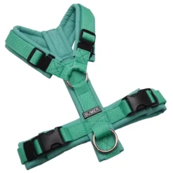 BUMER Hundegeschirr, gepolstert ohne geteilten Bruststeg, Größe XS, Gurtband Mint, Softshell Minty Breeze, Ringe silberfarbig (Edelstahl), Schnallen DURAFLEX®
