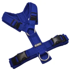 BUMER Hundegeschirr, gepolstert ohne geteilten Bruststeg, Größe XS, Gurtband Ultramarin, Softshell Royal, Ringe silberfarbig (Edelstahl), Schnallen DURAFLEX®