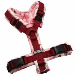 BUMER Hundegeschirr, gepolstert ohne geteilten Bruststeg, Größe XXS, Gurtband Bordeaux, Softshell SPRING EMBRANCE, Ringe silberfarbig (Edelstahl), Schnallen schwarz (DURAFLEX®)