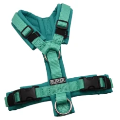 BUMER Hundegeschirr, gepolstert ohne geteilten Bruststeg, Größe XXS, Gurtband Mint, Softshell Atollblau, Ringe silberfarbig (Edelstahl), Schnallen schwarz (DURAFLEX®)