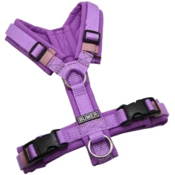 BUMER Hundegeschirr, gepolstert ohne geteilten Bruststeg, Größe XXS, Gurtband Violett, Softshell Hortensien Lila, Ringe silberfarbig (Edelstahl), Schnallen schwarz (Standard)