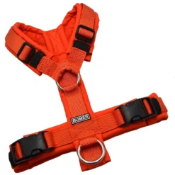 BUMER1000 Hundegeschirr, gepolstert ohne geteilten Bruststeg, Größe XS, Gurtband PREMIUM Scarlett Essence, Softshell ROTTÖNE (RO-5453), Ringe silberfarbig (Edelstahl), Schnallen schwarz (Standard)
