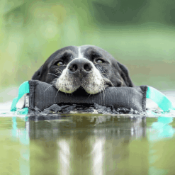 BUMER Trainingsdummy Hund