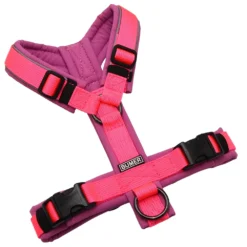 BUMER Hundegeschirr, gepolstert ohne geteilten Bruststeg, Größe XS, Gurtband PREMIUM Vibrant Magenta, Softshell Kirschblüte, Ringe schwarz (Edelstahl), Schnallen schwarz (DURAFLEX®), Paspel grau (REFLEX)
