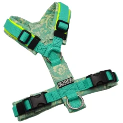 BUMER Hundegeschirr, ungepolstert ohne geteilten Bruststeg, Größe XXS, Gurtband PREMIUM X Minze, Softshell PAISLEY #2, Ringe silberfarbig (Edelstahl), Schnallen schwarz (DURAFLEX®), Applikation