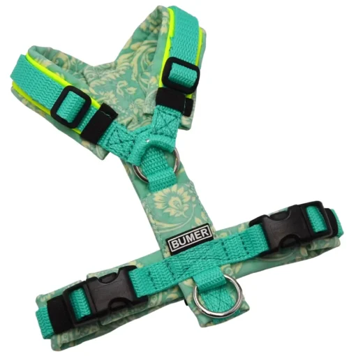 BUMER Hundegeschirr, ungepolstert ohne geteilten Bruststeg, Größe XXS, Gurtband PREMIUM X Minze, Softshell PAISLEY #2, Ringe silberfarbig (Edelstahl), Schnallen schwarz (DURAFLEX®), Applikation