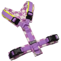 BUMER Hundegeschirr, ungepolstert ohne geteilten Bruststeg, Zwischengröße XXS/XS, Gurtband Violet, Softshell RETRO 50 #4, Ringe silberfarbig (Edelstahl), Schnallen schwarz (DURAFLEX®)a