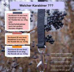 BUMER-Hundeleinen-Leine-Leinen-Info-1 (1)