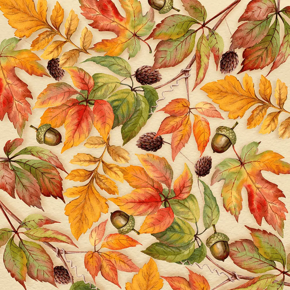 Chestnut Charm