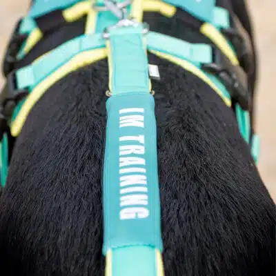 BUMER Leinen-Banderole für Hundeleine, (Softshell)