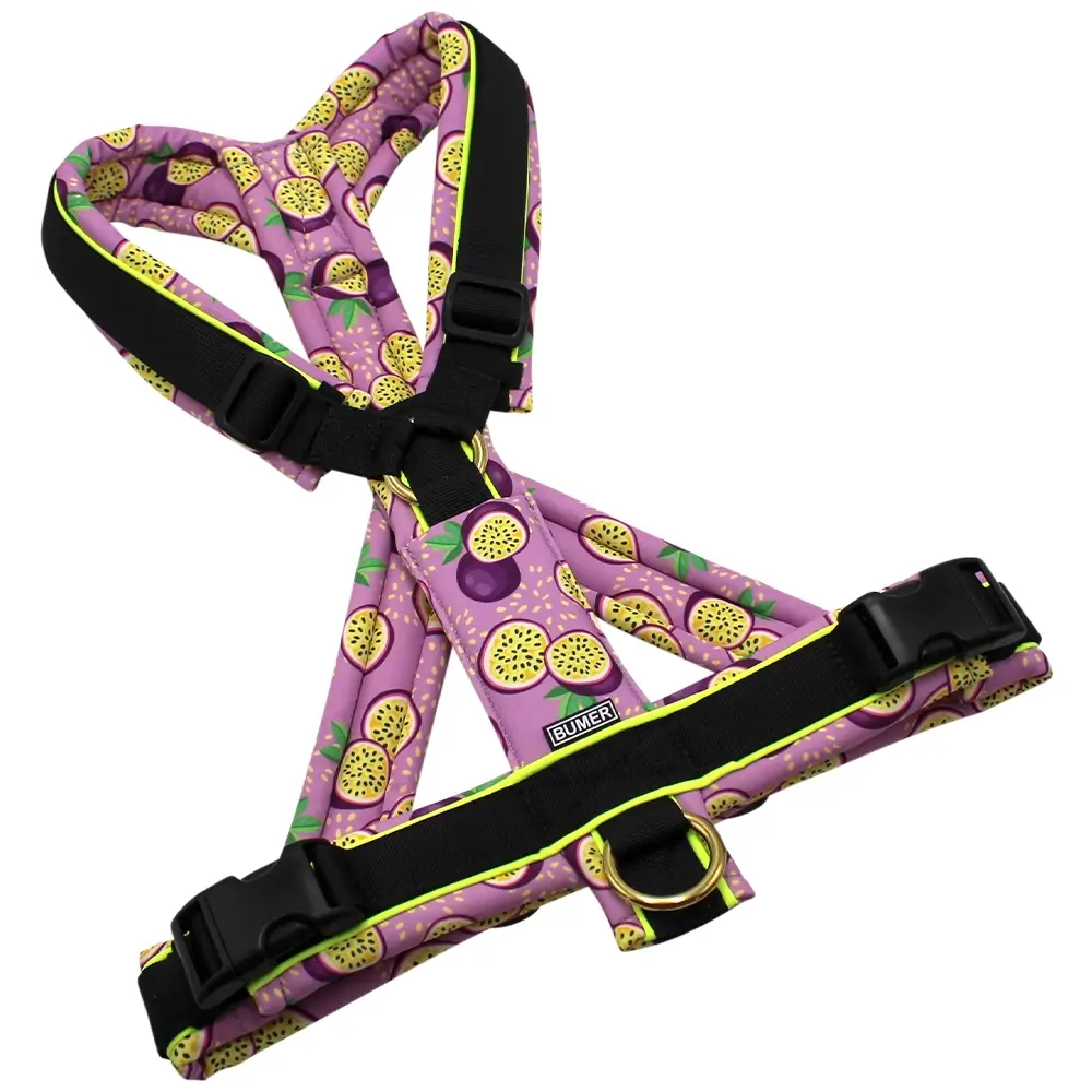 BUMER Hundegeschirr, gepolstert mit geteiltem Bruststeg, Größe L, Gurtband PREMIUM Pitch Black, Softshell Passion Pop, Ringe goldfarbig, Paspel Neongelb (komplett), Applikation
