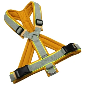 BUMER Hundegeschirr, gepolstert mit geteiltem Bruststeg, Größe M, Gurtband Helles Salbei, Softshell Honignektar, Ringe silberfarbig (Edelstahl), Schnallen schwarz (DURAFLEX®)