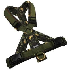 BUMER Hundegeschirr, gepolstert mit geteiltem Bruststeg, Größe M, Gurtband PREMIUM Wiesen Salbei, Softshell Twilight & Shadows, Ringe goldfarbig, Schnallen schwarz (DURAFLEX®), Applikation