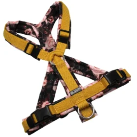 BUMER Hundegeschirr, gepolstert mit geteiltem Bruststeg, Größe S, Gurtband Gold, OXFORD ROSEN, Ringe silberfarbig (Edelstahl), Schnallen schwarz (DURAFLEX®), Applikation