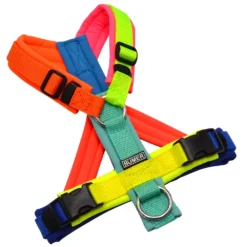 BUMER Hundegeschirr, gepolstert mit geteiltem Bruststeg, Größe XS, Gurtband MULTICOLOR, Softshell MULTICOLOR, Ringe silberfarbig (Edelstahl), Schnallen Schnallen schwarz (DURAFLEX®)