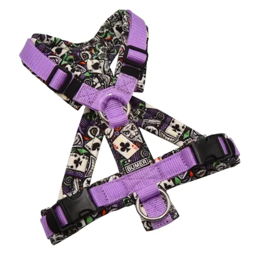 BUMER Hundegeschirr, gepolstert mit geteiltem Bruststeg, Größe XS, Gurtband Violet, Softshell COMIC LAUGHING ACE, Ringe silberfarbig (Edelstahl), Schnallen Schnallen schwarz (DURAFLEX®), Applikation