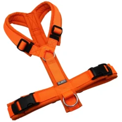 BUMER Hundegeschirr, gepolstert ohne geteilten Bruststeg, Größe M, Gurtband PREMIUM Electric Pumpkin, Softshell Naranjada, Ringe silberfarbig (Edelstahl), Schnallen schwarz (DURAFLEX®)