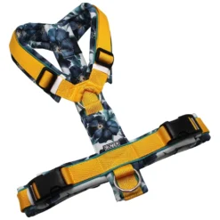 BUMER Hundegeschirr, gepolstert ohne geteilten Bruststeg, Größe M, Gurtband PREMIUM Sunburst Yellow, Softshell BLACK DAHLIA, Ringe silberfarbig (Edelstahl), Schnallen schwarz (DURAFLEX®), Applikation