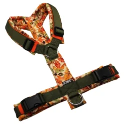 BUMER Hundegeschirr, gepolstert ohne geteilten Bruststeg, Größe M, Gurtband PREMIUM Wiesen Salbei, Softshell Chestnut Charm (HERBSTMOTIVE), Ringe silberfarbig (Edelstahl), Schnallen schwarz (DURAFLEX®), Applikation