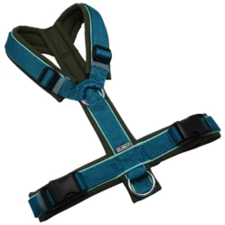 BUMER Hundegeschirr, gepolstert ohne geteilten Bruststeg, Größe M, Gurtband PREMIUM X Petrol, Softshell Olive, Ringe silberfarbig (Edelstahl), Schnallen schwarz (DURAFLEX®)