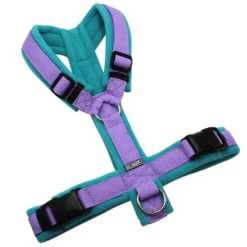 BUMER Hundegeschirr, gepolstert ohne geteilten Bruststeg, Größe M, Gurtband PREMIUM X Violet Veil, Fleece Türkis Reef, Ringe silberfarbig (Edelstahl), Schnallen schwarz (DURAFLEX®)