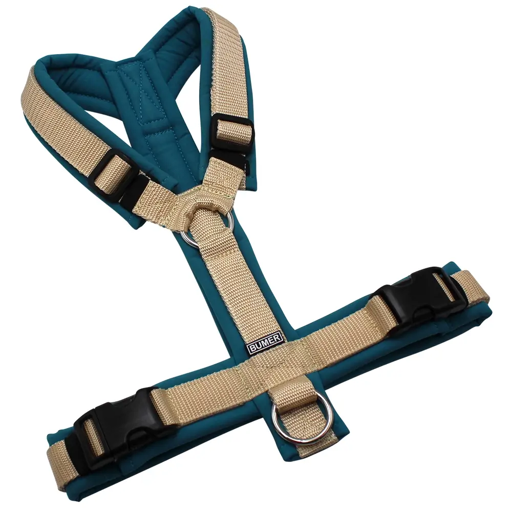 BUMER Hundegeschirr, gepolstert ohne geteilten Bruststeg, Größe M, Gurtband Standard PLUS Creme, Softshell Curacao Splash, Ringe silberfarbig (Edelstahl), Schnallen schwarz (DURAFLEX®)