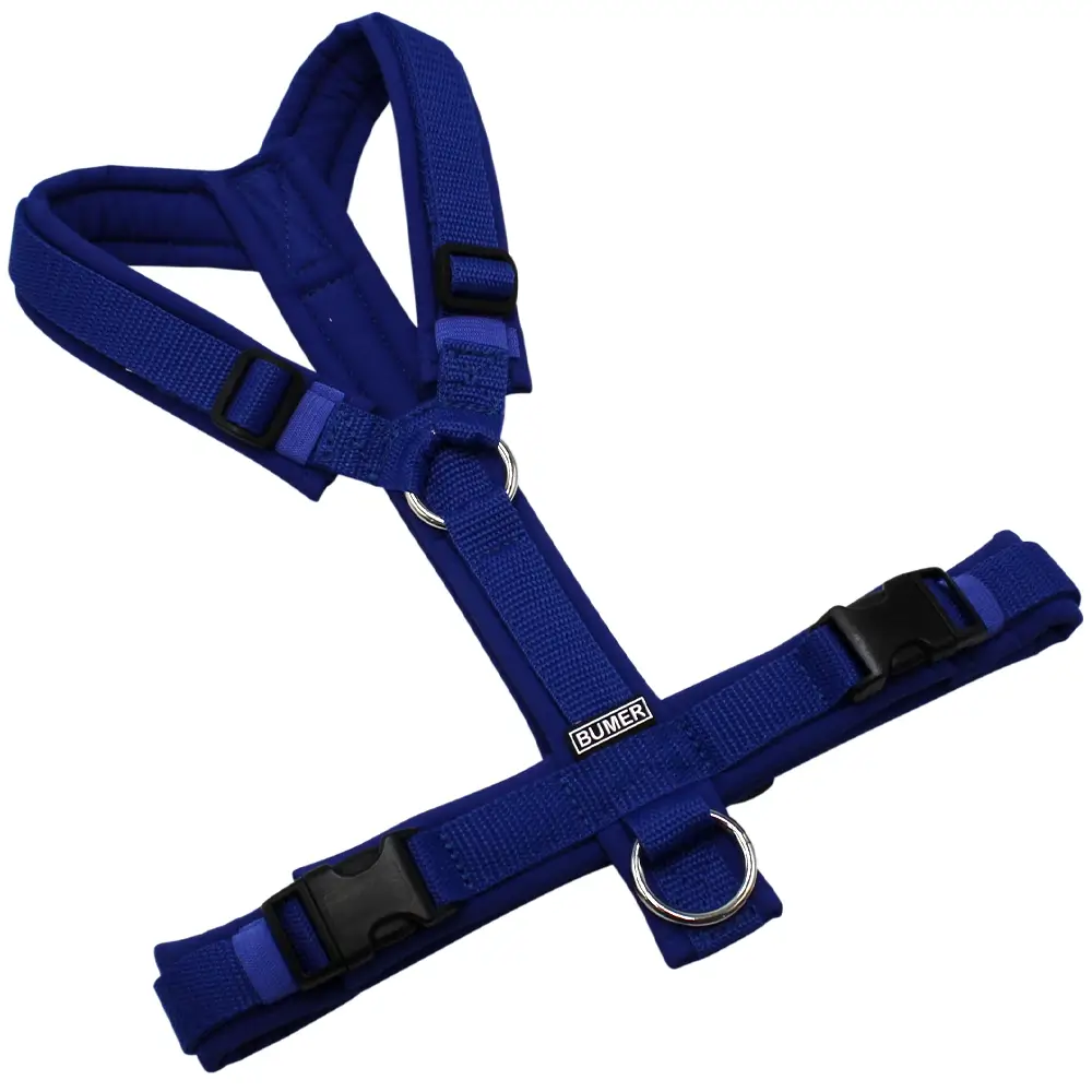 BUMER Hundegeschirr, gepolstert ohne geteilten Bruststeg, Größe S/M, Gurtband Ultramarin, Softshell Royal, Ringe silberfarbig (Edelstahl), Schnallen schwarz (DURAFLEX®)