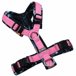 BUMER Hundegeschirr, gepolstert ohne geteilten Bruststeg, Größe XS, Gurtband Dunkelpink, Softshell Farfalla, Ringe silberfarbig (Edelstahl), Schnallen schwarz