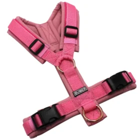 BUMER Hundegeschirr, gepolstert ohne geteilten Bruststeg, Größe XS, Gurtband Dunkelpink, Softshell Rosenquarz, Ringe rosegoldfarbig, Schnallen schwarz, Paspel neonpink
