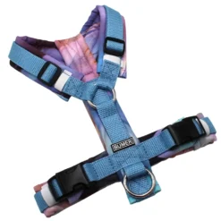 BUMER Hundegeschirr, gepolstert ohne geteilten Bruststeg, Größe XS, Gurtband Eisblau, Softshell Federn # 1, Ringe silberfarbig (Edelstahl), Schnallen schwarz (DURAFLEX®)