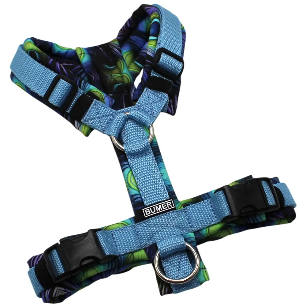 BUMER Hundegeschirr, gepolstert ohne geteilten Bruststeg, Größe XS, Gurtband Eisblau, Softshell PFAU #3, Ringe silberfarbig (Edelstahl), Schnallen schwarz (DURAFLEX®)