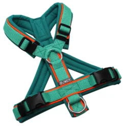 BUMER Hundegeschirr, gepolstert ohne geteilten Bruststeg, Größe XS, Gurtband Mint, Softshell Türkis Twirl, Ringe silberfarbig (Edelstahl), Schnallen schwarz (DURAFLEX®)
