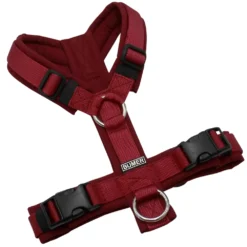 BUMER Hundegeschirr, gepolstert ohne geteilten Bruststeg, Größe XS, Gurtband PREMIUM Berry Bordeaux, Softshell Bordeaux, Ringe silberfarbig (Edelstahl), Schnallen schwarz
