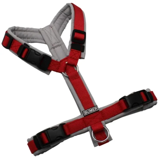 BUMER Hundegeschirr, gepolstert ohne geteilten Bruststeg, Größe XS, Gurtband PREMIUM Flammenrot, Softshell Hellgrau, Ringe silberfarbig (Edelstahl), Schnallen schwarz, Zusatzschnalle