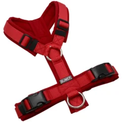 BUMER Hundegeschirr, gepolstert ohne geteilten Bruststeg, Größe XS, Gurtband PREMIUM Flammenrot, Softshell Rubin Royal, Ringe silberfarbig (Edelstahl), Schnallen schwarz