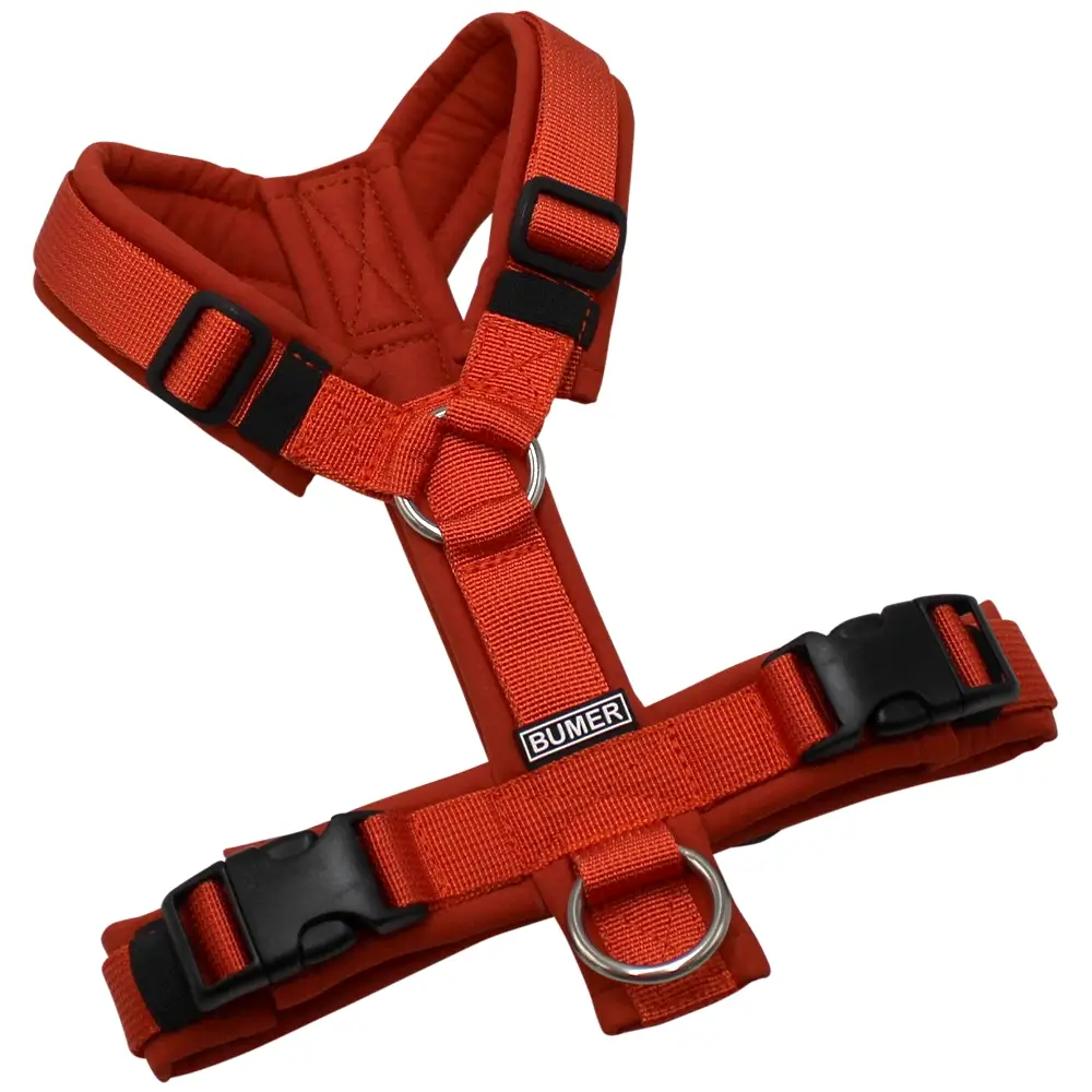 BUMER Hundegeschirr, gepolstert ohne geteilten Bruststeg, Größe XS, Gurtband PREMIUM Scarlett Essence, Softshell Cayenne Spice, Ringe silberfarbig (Edelstahl), Schnallen schwarz