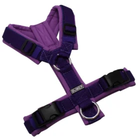 BUMER Hundegeschirr, gepolstert ohne geteilten Bruststeg, Größe XS, Gurtband PREMIUM X Twilight Blue, Softshell Hortensien Lila, Ringe silberfarbig (Edelstahl), Schnallen schwarz