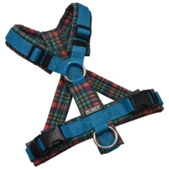 BUMER Hundegeschirr, gepolstert ohne geteilten Bruststeg, Größe XS, Gurtband Petrol, Softshell Azur Latice (Tartanmotive), Ringe silberfarbig (Edelstahl), Schnallen DURAFLEX®, Applikation