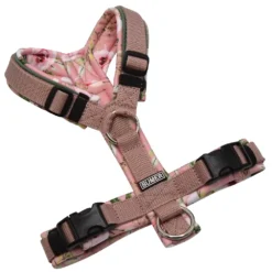 BUMER Hundegeschirr, gepolstert ohne geteilten Bruststeg, Größe XS, Gurtband Schmutziges Rosa, Softshell ROSENTRÄUME, Ringe silberfarbig (Edelstahl), Schnallen DURAFLEX®, Paspel Schilfgrün