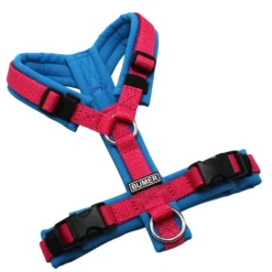 BUMER Hundegeschirr, gepolstert ohne geteilten Bruststeg, Größe XXS, Gurtband Altrosa, Softshell Eisvogelblau, Ringe silberfarbig (Edelstahl), Schnallen schwarz (DURAFLEX®)
