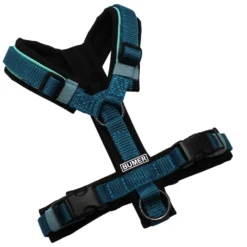 BUMER Hundegeschirr, gepolstert ohne geteilten Bruststeg, Größe XXS, Gurtband STANDARD PLUS Petrolgrün, Softshell Schwarz, Ringe schwarz (Edelstahl), Schnallen schwarz (DURAFLEX®)
