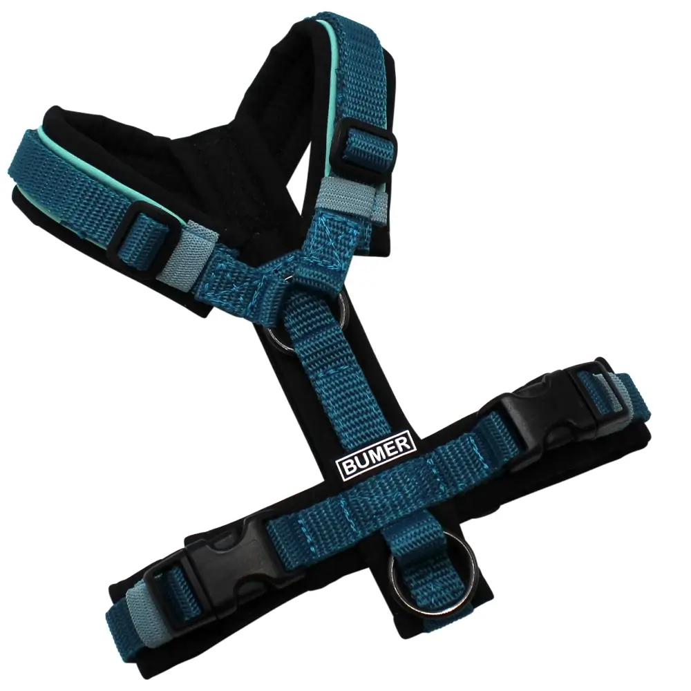 BUMER Hundegeschirr, gepolstert ohne geteilten Bruststeg, Größe XXS, Gurtband STANDARD PLUS Petrolgrün, Softshell Schwarz, Ringe schwarz (Edelstahl), Schnallen schwarz (DURAFLEX®)