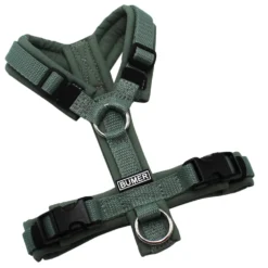 BUMER Hundegeschirr, gepolstert ohne geteilten Bruststeg, Größe XXS, Gurtband Salbei, Softshell Schilfgrün, Ringe silberfarbig (Edelstahl), Schnallen schwarz (DURAFLEX®)